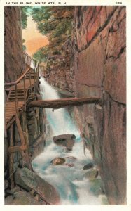 Vintage Postcard In The Flumes Path Taking Bridge White Mountains New Hampshire