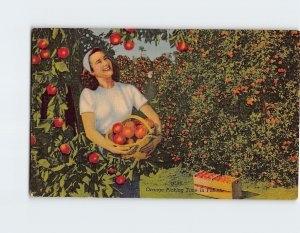 Postcard Orange Picking Time in Florida