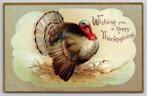 Thanksgiving Greetings A/S Ellen Clapsaddle Large Turkey Postcard S26