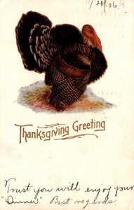 Thanksgiving Greetings With Turkey 1906