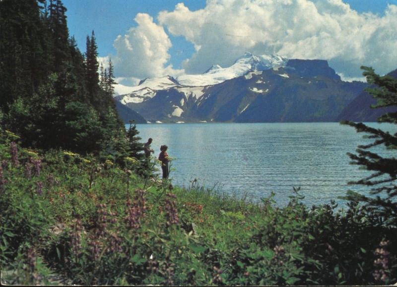 Garibaldi Lake Provincial Park Whistler Area BC c1975 Vintage Postcard D9