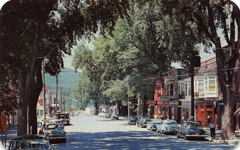 Main Street Business District Drug Store Cars Middleburgh New York postcard