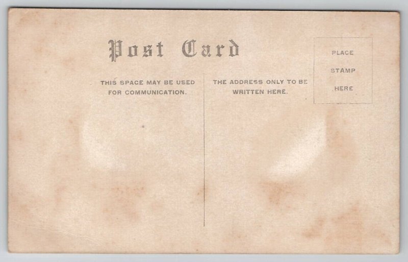 MN Deephaven Bay Lake Minnetonka Minnesota c1910 Postcard AA3