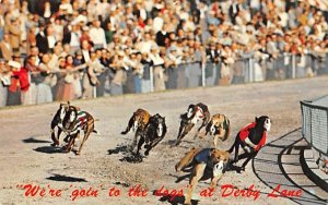 We're goin' to the Dogs at Derby Lane St Petersburg, Florida  