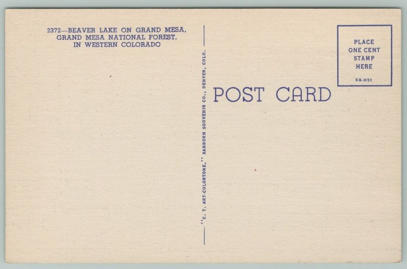 Western Colorado~Beaver Lake~Grand Mesa National Forest~1940s Linen Postcard
