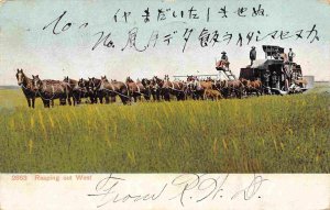 Horse Threshing Harvester Western Farming Washington 1907 postcard