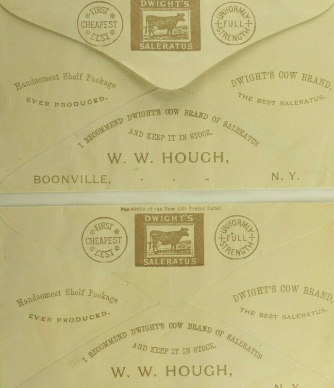 1880's W. W. Hough Groceries & Crockery Boonville, NY Dwight's Saleratus #M 