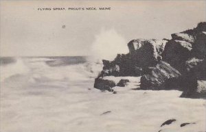 Maine Prouts Neck Flying Spray Artvue