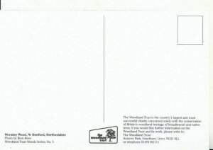 Hertfordshire Postcard - Wormley Wood - Ref 14551A