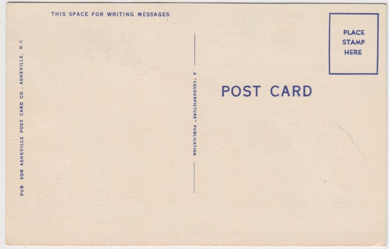 Black Americana Cartoon Carbon Copies Postcard Mother w Kids Unused