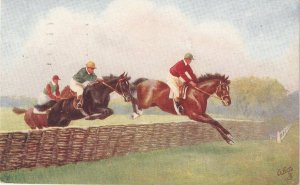 Steeplechasing. Horses  Tuck Oilette Postcard # 9509