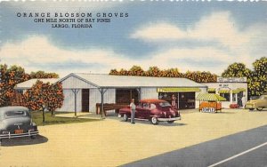 Orange Blossom Groves Largo, Florida