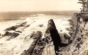 Mussel Reef real photo - Mussel Reef, Oregon OR