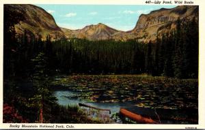 Colorado Rocky Mountains Wild Basin Lily Pond