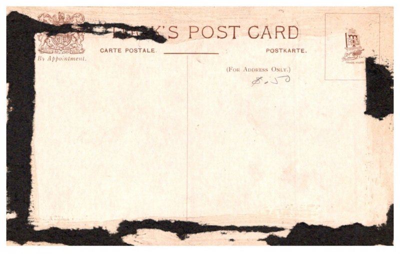 Dog ,  Puppies , chick drinking