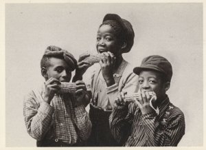 African American Old School Children Eating Corn Photo Postcard