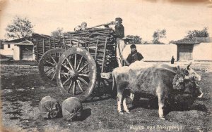 Albania Farming Scene Ox Cart Vintage Postcard AA65949