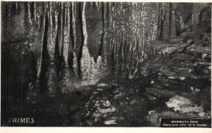 Vintage Postcard Chimes Mammoth Cave Tourist Attraction Kentucky KY