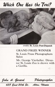 Misouri St Louis Zoo Director George Vierheller With Gorilla Real Photo