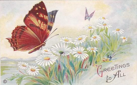 Greetings To all With Butterfly