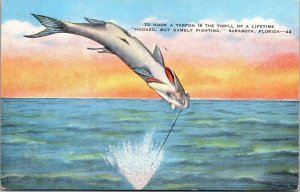 Vtg Sarasota Florida FL Tarpon Fish Hooked Fighting Fishing 1940s Linen Postcard