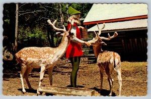 Feeding The Deer, Santa's Village, Bracebridge Muskoka Ontario, Vintage Postcard