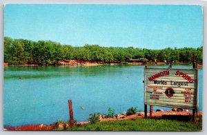 Mammoth Spring Arkansas~Mammoth Spring & Sign~Ozarks~1955 Postcard