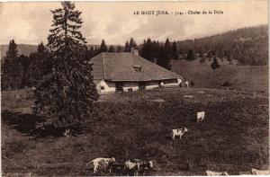 CPA Le HAUT-JURA - Chalet de la DOLE (212199)