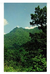 Great Smoky Mountains Nat'l Park. The Chimneys