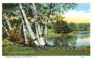 Lakeside Birches - Lake Sunapee, New Hampshire NH  