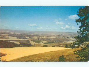 Pre-1980 RIVER SCENE Lewiston Idaho ID AE5941