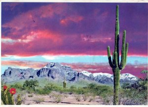 VINTAGE CONTINENTAL SIZE POSTCARD WORLD FAMOUS SUPERSTITION MOUNTAIN ARIZONA