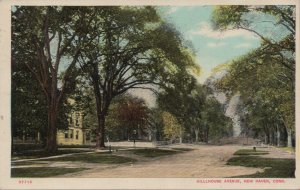 Postcard Hillhouse Avenue New Haven CT 1911