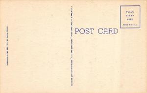 JUAREZ, Mexico      MOUNTED TOREADOR~BULL~BULLFIGHTER    c1940's Postcard