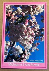 POSTCARD 1993 USED - APPLE BLOSSOMS, MICHIGAN'S STATE FLOWER