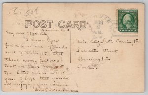 RPPC Fairview NH Grazing Lambs Sheep Postcard H25