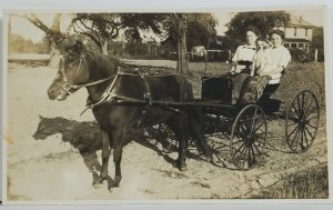 Rppc Woman with Adorable Puppy Buggy Victorian Lap Blankets Photo Postcard P6