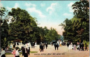 Detroit MI-Michigan, Central Avenue, Belle Isle Vintage Postcard 