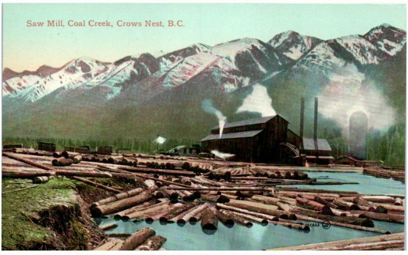 Early color postcard Saw Mill Coal Creek Crows Nest BC Canada