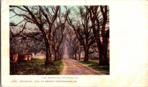 View of the Hermitage, Savannah GA Undivided Back Vintage Postcard N47