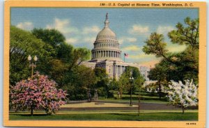 M-58387 United States Capitol at Blossom Time Washington District of Columbia
