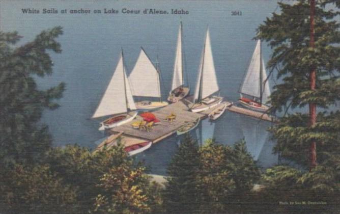 Idaho White Sails At Anchor On Lake Coeur d'Alene