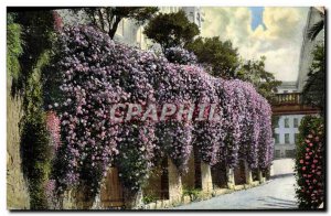 Old Postcard Menton Spring Flowers