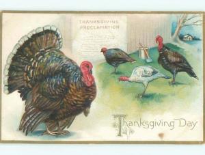 Divided-Back THANKSGIVING SCENE Great Postcard AA0427