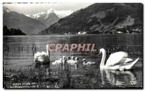 Old Postcard idyll am Kitzsteinhorn Zell Mit Swans