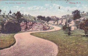 New York Albany The Ravine Beaver Park 1908