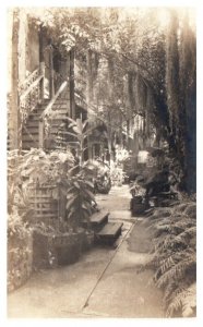 Court Yard on St Peter Street w Ferns New Orleans RPPC Postcard