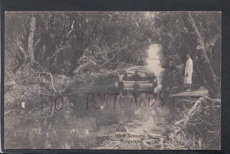 Tonga Postcard - Bush Scenery, Tongatabu  HP647