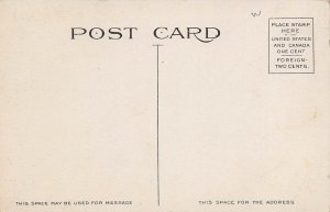 Broadway Looking West Logansport Indiana 1910c postcard