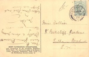 Hungary Torley Champagne Advertising Ranging the Bottles 1908 postcard B875